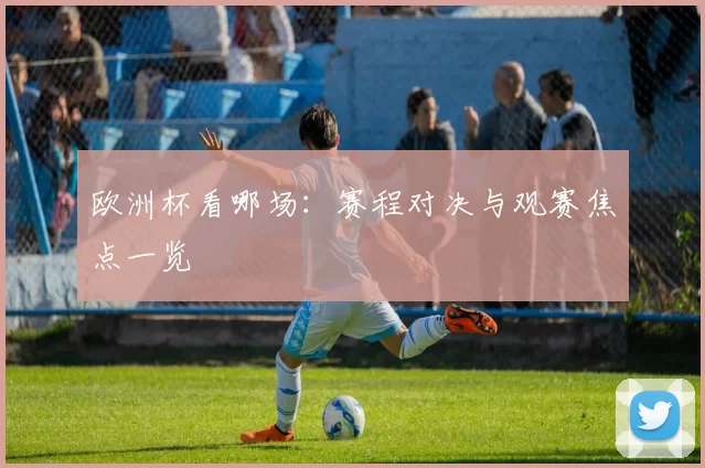 欧洲杯看哪场:赛程对决与观赛焦点一览