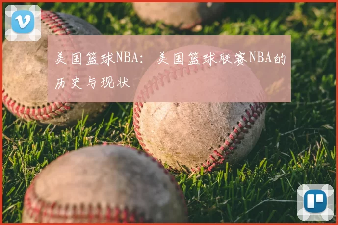 美国篮球NBA：美国篮球联赛NBA的历史与现状
