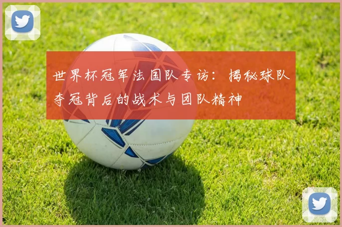 世界杯冠军法国队专访：揭秘球队夺冠背后的战术与团队精神