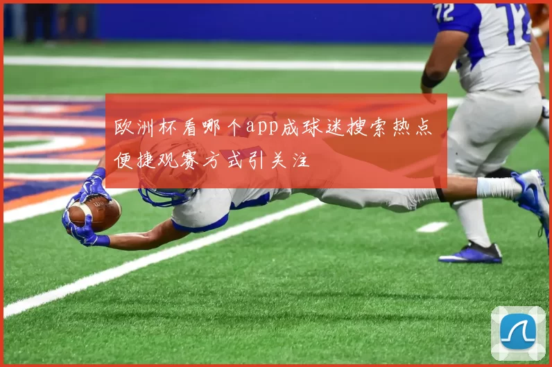 欧洲杯看哪个app成球迷搜索热点 便捷观赛方式引关注