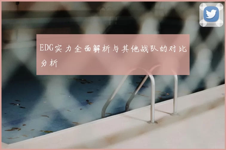 EDG实力全面解析与其他战队的对比分析