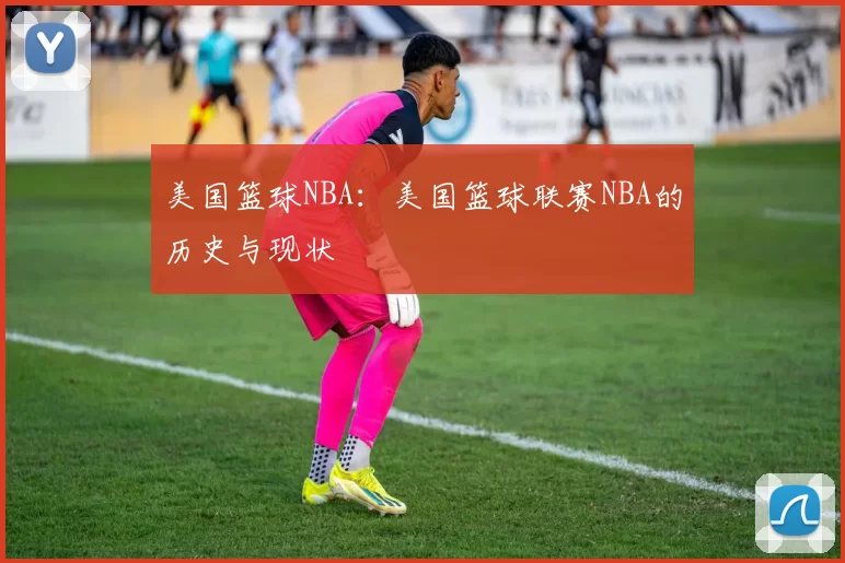 美国篮球NBA：美国篮球联赛NBA的历史与现状