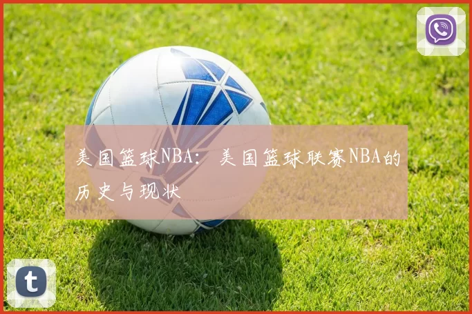 美国篮球NBA：美国篮球联赛NBA的历史与现状