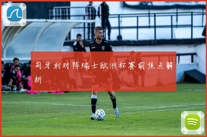 匈牙利对阵瑞士欧洲杯赛前焦点解析