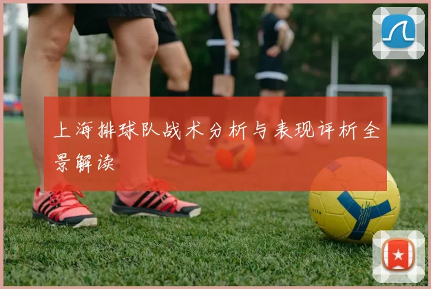 上海排球队战术分析与表现评析全景解读