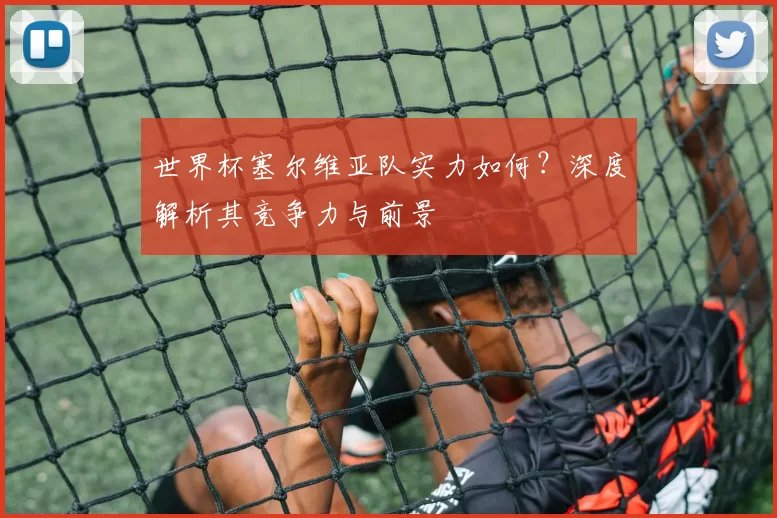 世界杯塞尔维亚队实力如何？深度解析其竞争力与前景