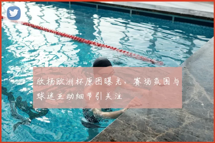 欣杨欧洲杯原图曝光,赛场氛围与球迷互动细节引关注