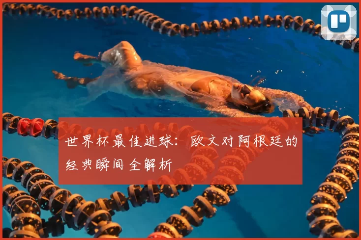 世界杯最佳进球:欧文对阿根廷的经典瞬间全解析