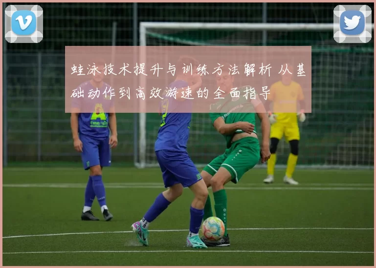 蛙泳技术提升与训练方法解析 从基础动作到高效游速的全面指导
