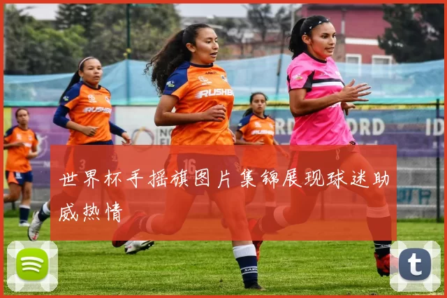 世界杯手摇旗图片集锦展现球迷助威热情