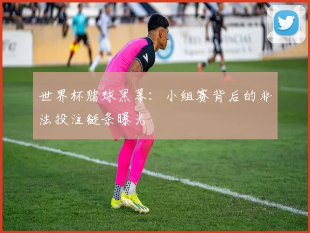 世界杯赌球黑幕:小组赛背后的非法投注链条曝光