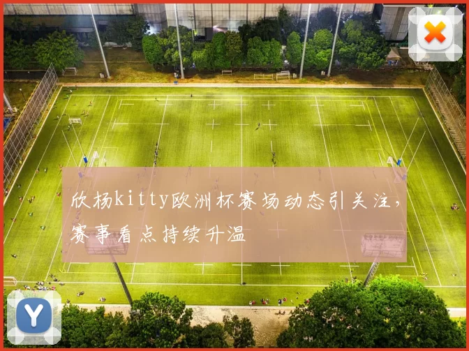 欣杨kitty欧洲杯赛场动态引关注，赛事看点持续升温