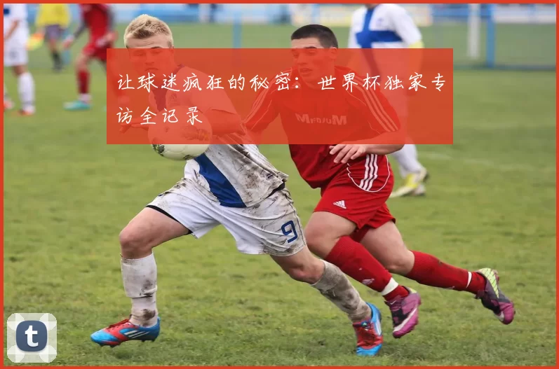 让球迷疯狂的秘密：世界杯独家专访全记录