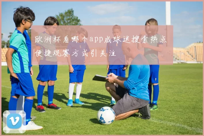 欧洲杯看哪个app成球迷搜索热点 便捷观赛方式引关注