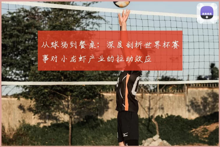 从球场到餐桌:深度剖析世界杯赛事对小龙虾产业的拉动效应