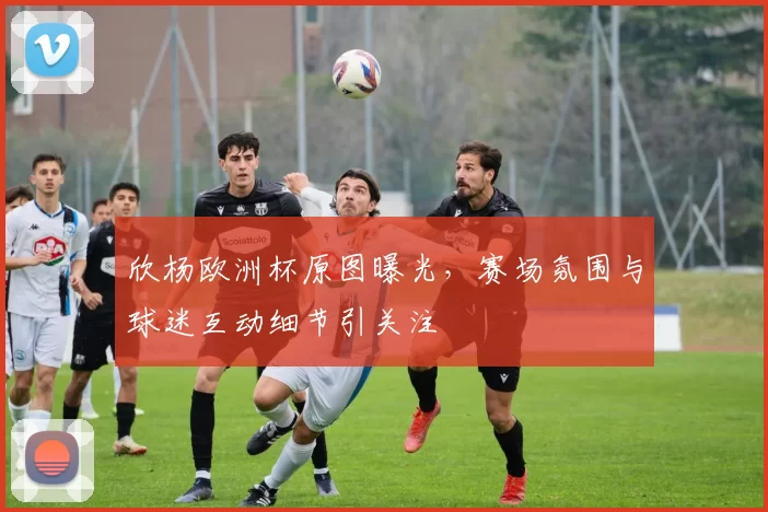 欣杨欧洲杯原图曝光,赛场氛围与球迷互动细节引关注