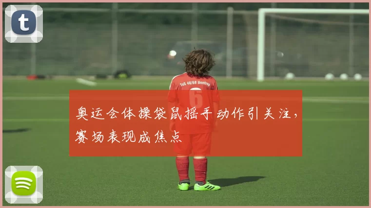 奥运会体操袋鼠摇手动作引关注,赛场表现成焦点